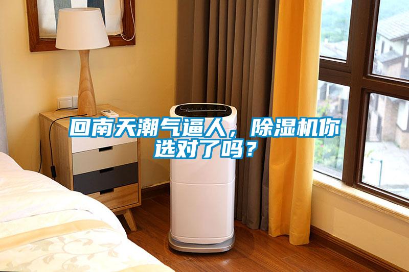 回南天潮氣逼人，除濕機你選對了嗎？
