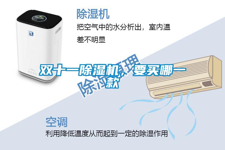 雙十一除濕機，要買哪一款