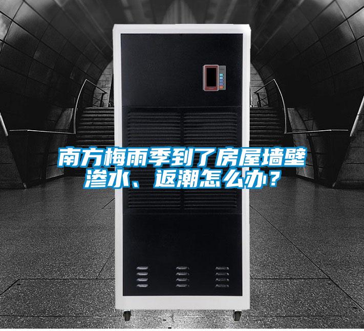 南方梅雨季到了房屋墻壁滲水、返潮怎么辦？