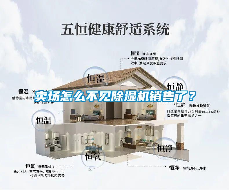 賣場怎么不見除濕機銷售了？