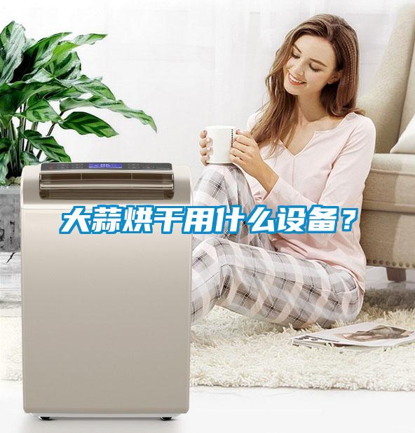 大蒜烘干用什么設備？