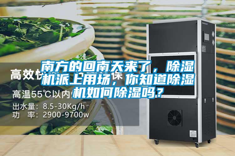 南方的回南天來了，除濕機派上用場，你知道除濕機如何除濕嗎？