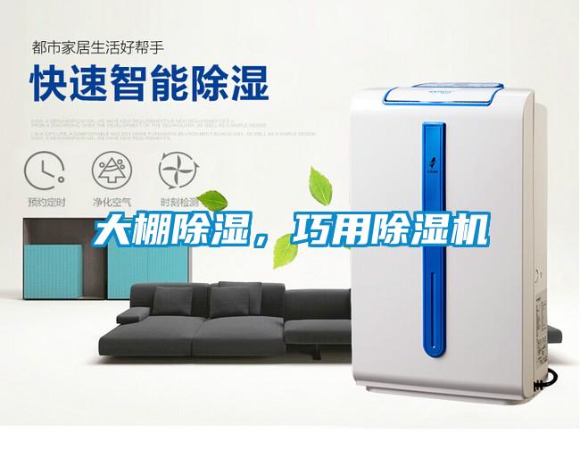 大棚除濕，巧用除濕機