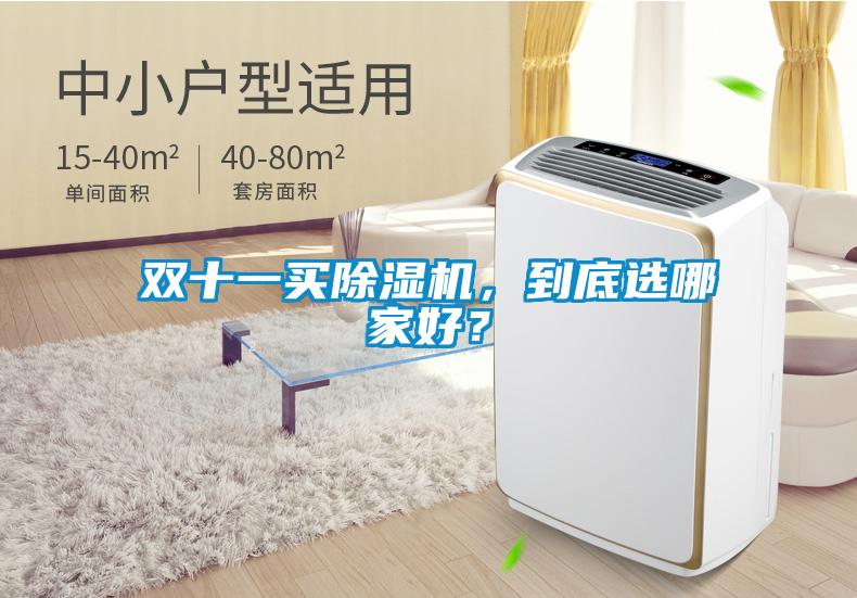 雙十一買除濕機，到底選哪家好？
