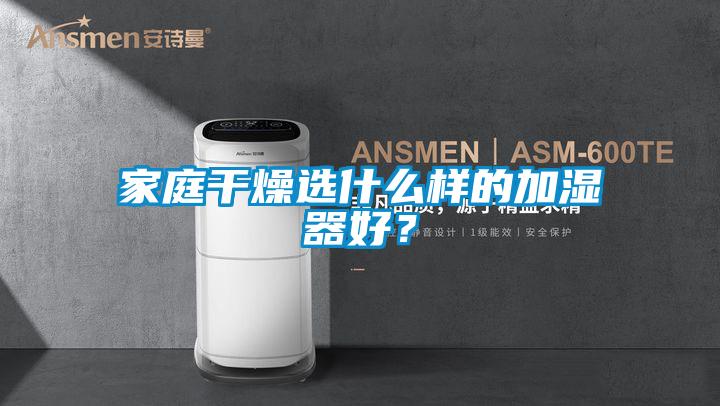 家庭干燥選什么樣的加濕器好？