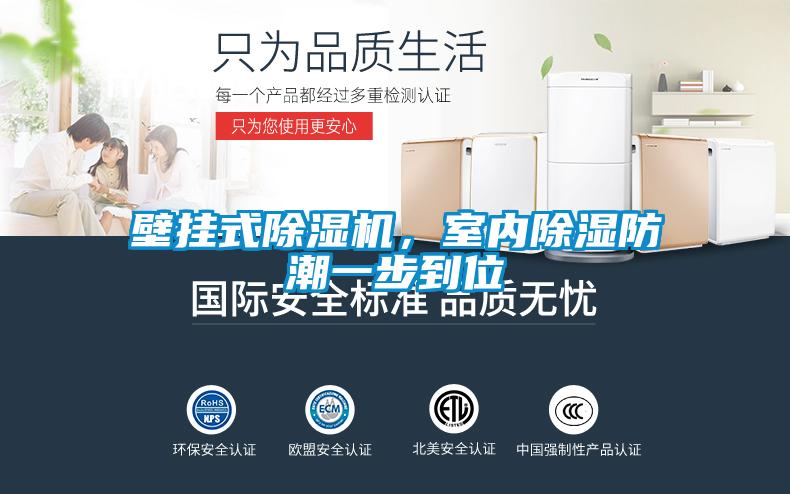 壁掛式除濕機，室內除濕防潮一步到位