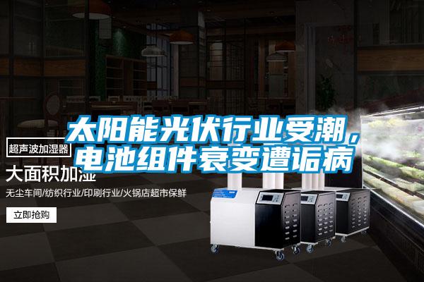 太陽能光伏行業受潮，電池組件衰變遭詬病