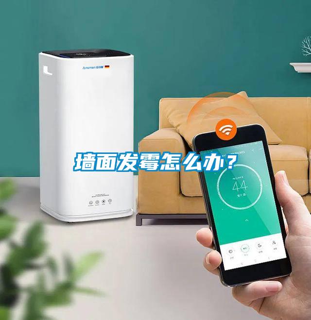 墻面發霉怎么辦？