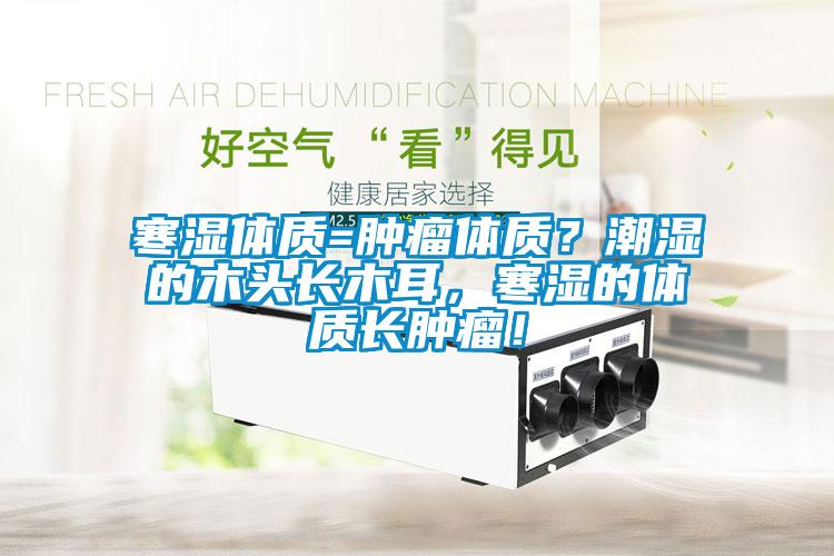 寒濕體質=腫瘤體質？潮濕的木頭長木耳，寒濕的體質長腫瘤！