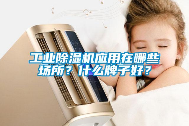 工業除濕機應用在哪些場所？什么牌子好？