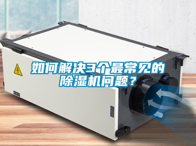 如何解決3個最常見的除濕機問題？
