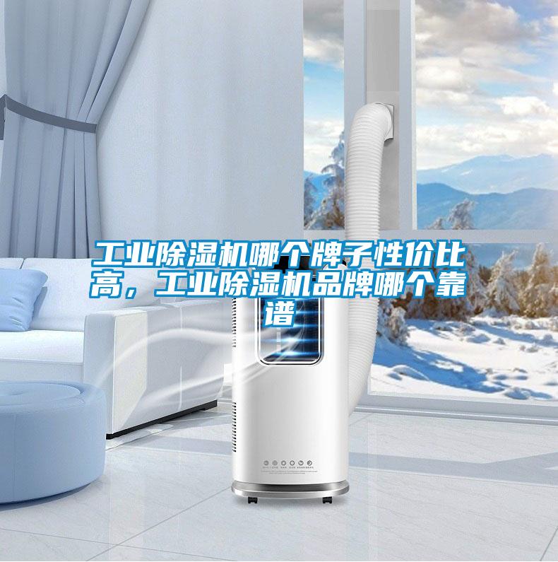工業除濕機哪個牌子性價比高，工業除濕機品牌哪個靠譜