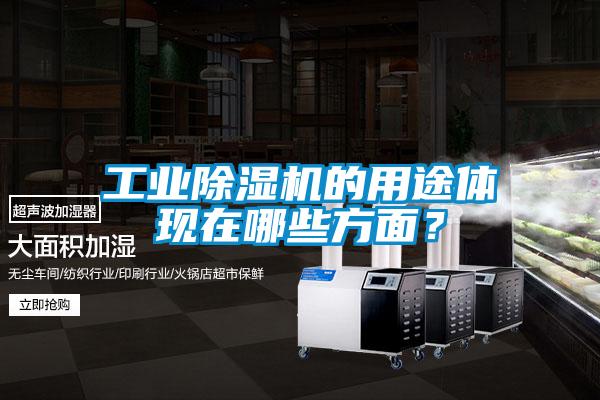 工業除濕機的用途體現在哪些方面？