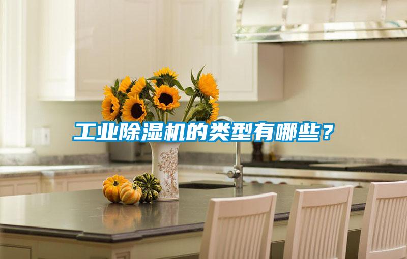 工業除濕機的類型有哪些？