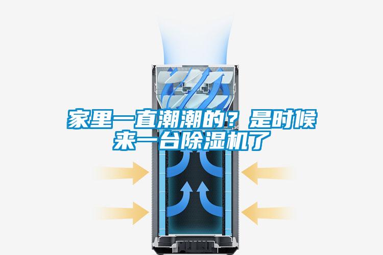 家里一直潮潮的？是時候來一臺除濕機了