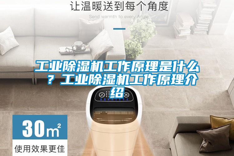 工業除濕機工作原理是什么 ？工業除濕機工作原理介紹