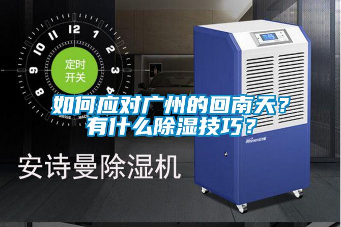 如何應對廣州的回南天？有什么除濕技巧？