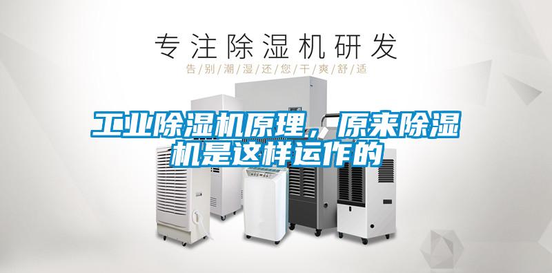 工業除濕機原理，原來除濕機是這樣運作的