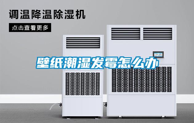 壁紙潮濕發霉怎么辦