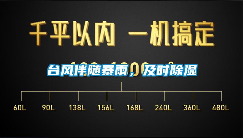 臺風伴隨暴雨，及時除濕