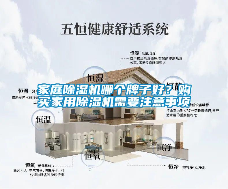 家庭除濕機哪個牌子好？購買家用除濕機需要注意事項