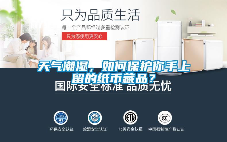天氣潮濕，如何保護你手上留的紙幣藏品？