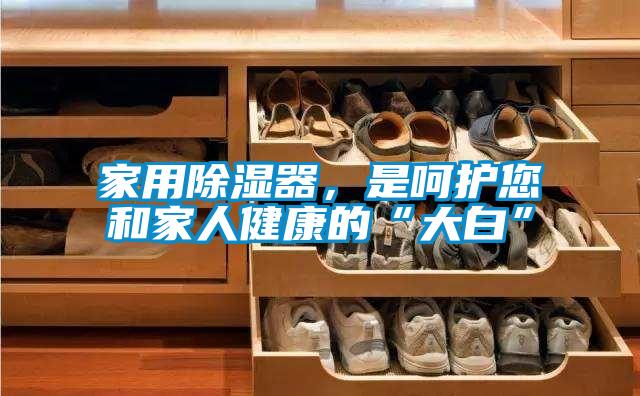 家用除濕器，是呵護您和家人健康的“大白”