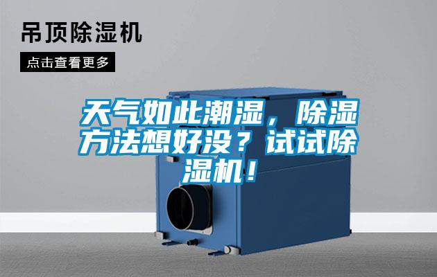 天氣如此潮濕，除濕方法想好沒？試試除濕機！