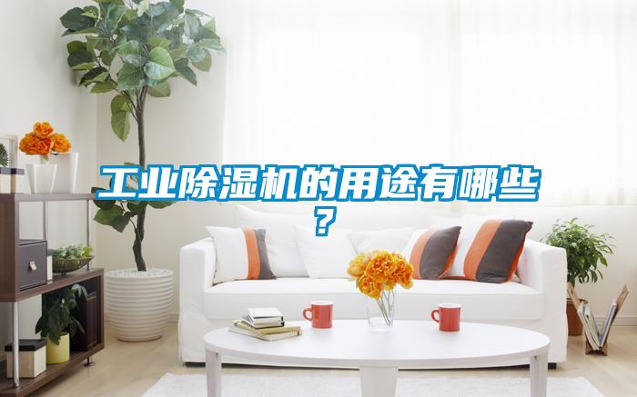 工業除濕機的用途有哪些？