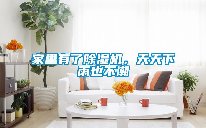 家里有了除濕機，天天下雨也不潮