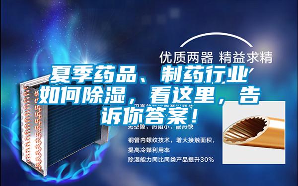 夏季藥品、制藥行業如何除濕，看這里，告訴你答案！