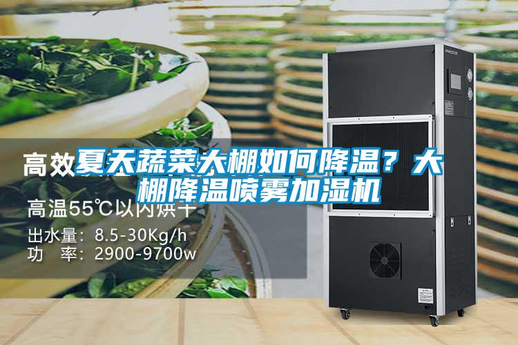 夏天蔬菜大棚如何降溫？大棚降溫噴霧加濕機
