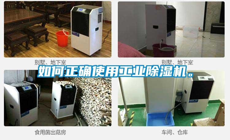 如何正確使用工業除濕機。
