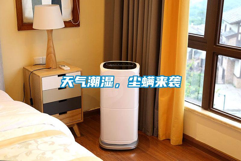 天氣潮濕，塵螨來襲