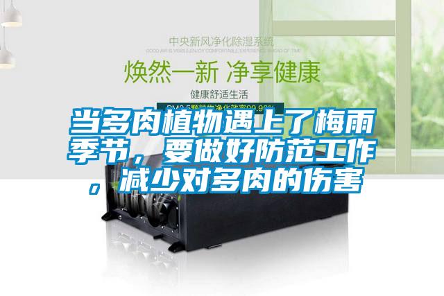 當多肉植物遇上了梅雨季節，要做好防范工作，減少對多肉的傷害