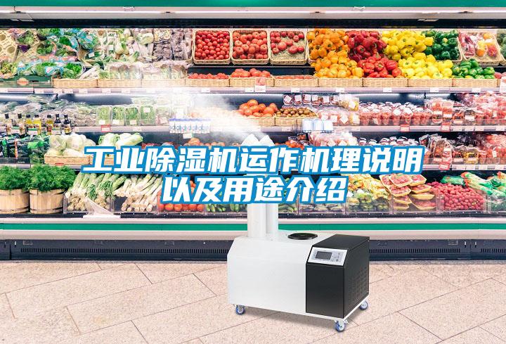 工業除濕機運作機理說明以及用途介紹