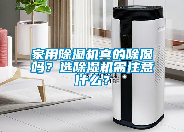 家用除濕機真的除濕嗎？選除濕機需注意什么？