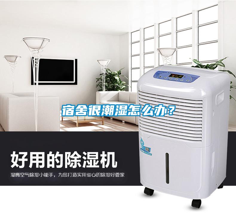 宿舍很潮濕怎么辦？