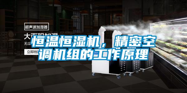 恒溫恒濕機，精密空調機組的工作原理