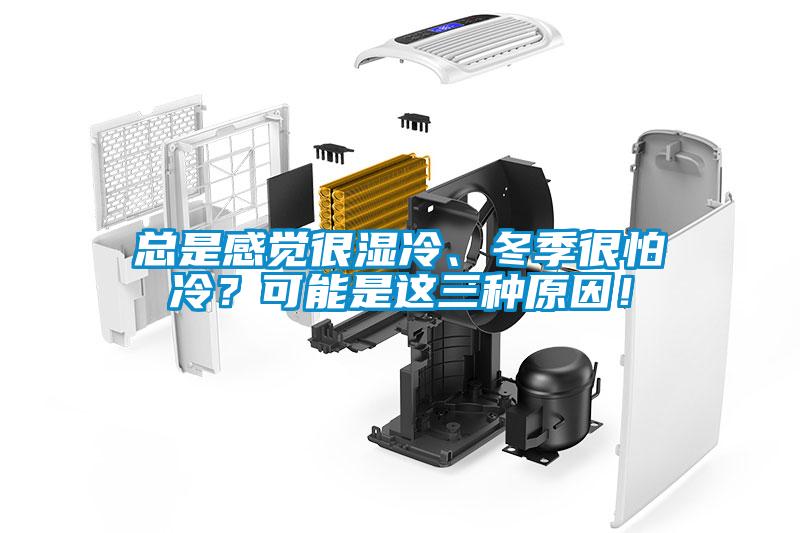 總是感覺很濕冷、冬季很怕冷？可能是這三種原因！