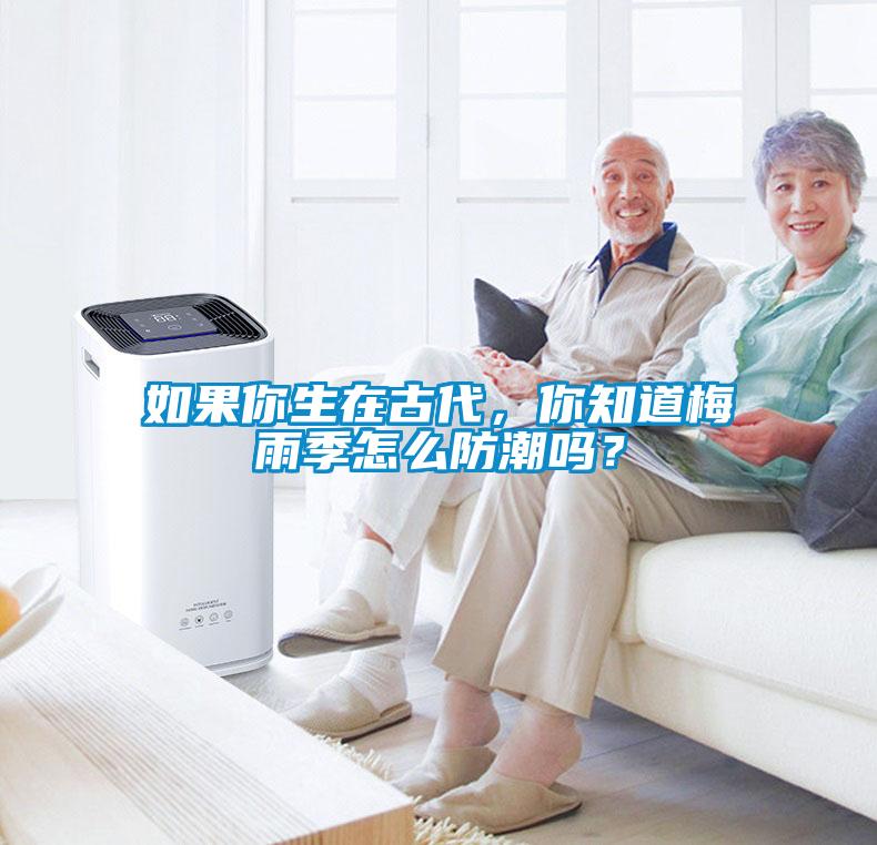 如果你生在古代，你知道梅雨季怎么防潮嗎？
