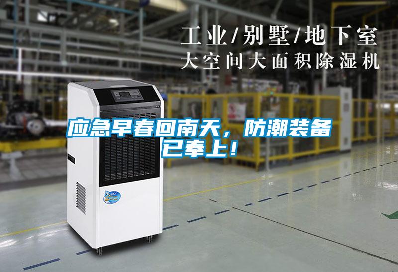 應急早春回南天，防潮裝備已奉上！