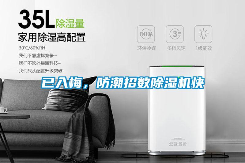 已入梅，防潮招數除濕機快