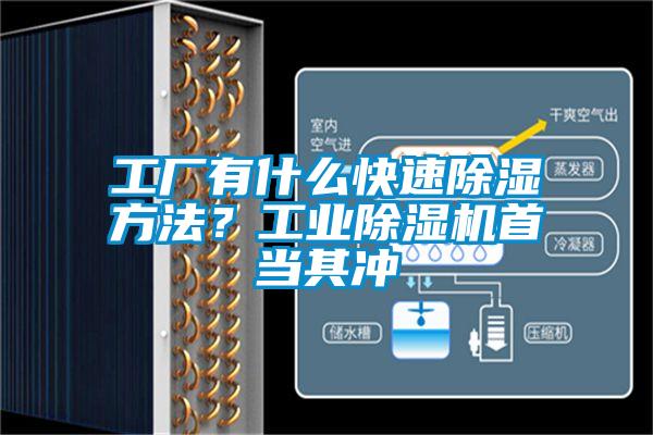 工廠有什么快速除濕方法？工業除濕機首當其沖