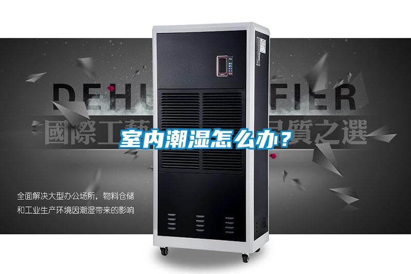 室內潮濕怎么辦？