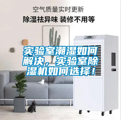 實驗室潮濕如何解決，實驗室除濕機如何選擇！