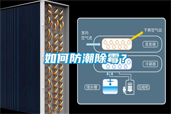 如何防潮除霉？