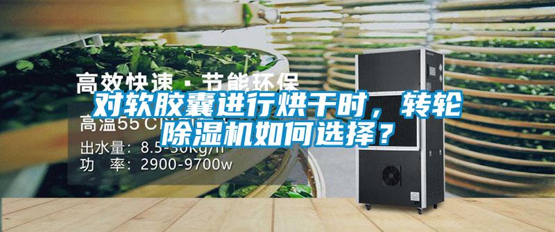 對軟膠囊進行烘干時，轉輪除濕機如何選擇？