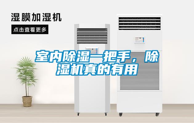 室內除濕一把手，除濕機真的有用