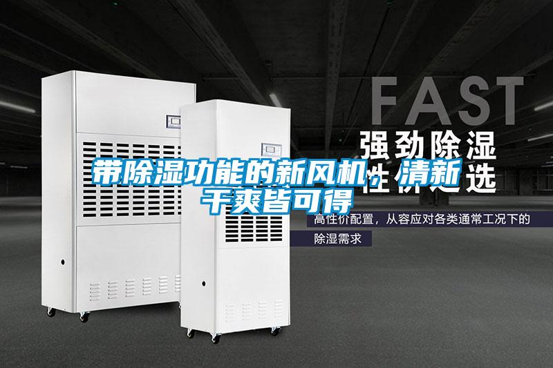 帶除濕功能的新風機，清新干爽皆可得